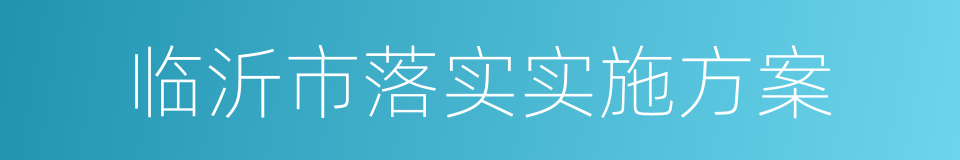 临沂市落实实施方案的同义词