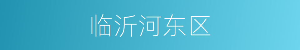 临沂河东区的同义词