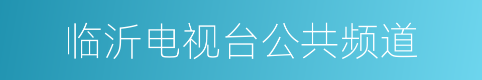 临沂电视台公共频道的同义词