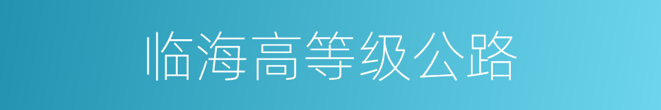 临海高等级公路的同义词