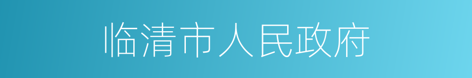 临清市人民政府的同义词