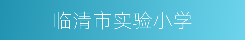 临清市实验小学的同义词