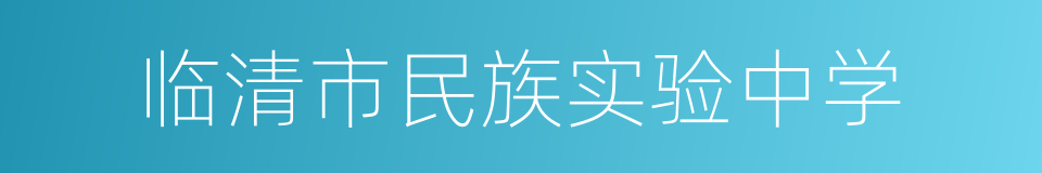 临清市民族实验中学的同义词