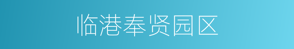 临港奉贤园区的同义词