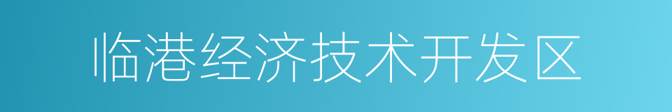 临港经济技术开发区的同义词