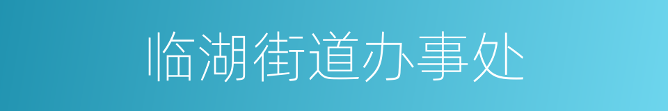 临湖街道办事处的意思