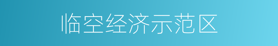 临空经济示范区的同义词