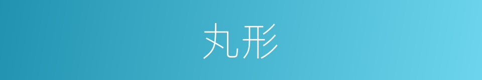 丸形的同义词