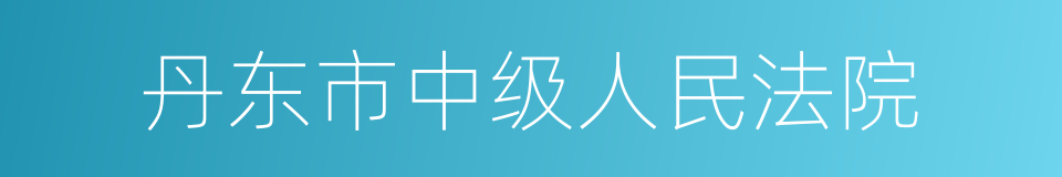 丹东市中级人民法院的同义词