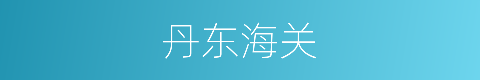 丹东海关的同义词