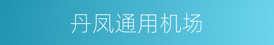 丹凤通用机场的同义词