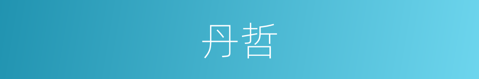 丹哲的同义词