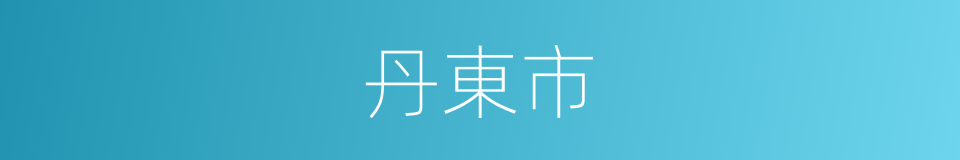 丹東市的意思