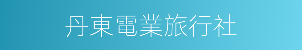丹東電業旅行社的同義詞
