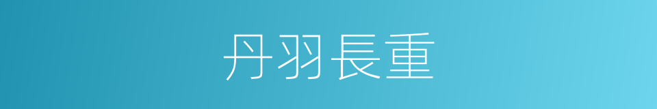 丹羽長重的同義詞