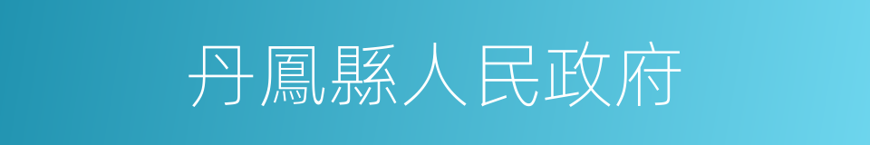 丹鳳縣人民政府的同義詞