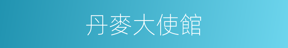 丹麥大使館的同義詞