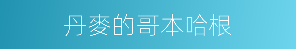 丹麥的哥本哈根的同義詞