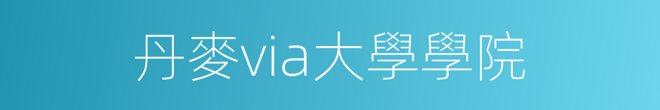 丹麥via大學學院的同義詞