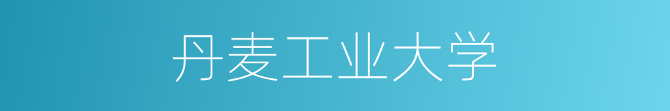 丹麦工业大学的同义词