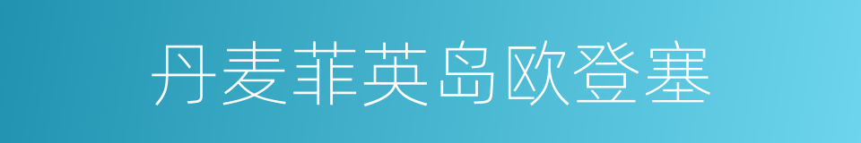 丹麦菲英岛欧登塞的同义词
