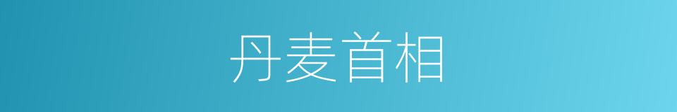 丹麦首相的同义词