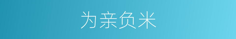为亲负米的同义词