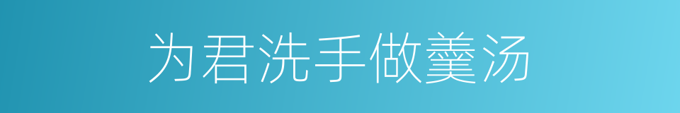为君洗手做羹汤的同义词