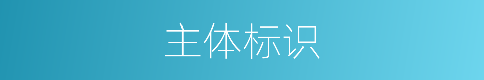 主体标识的同义词