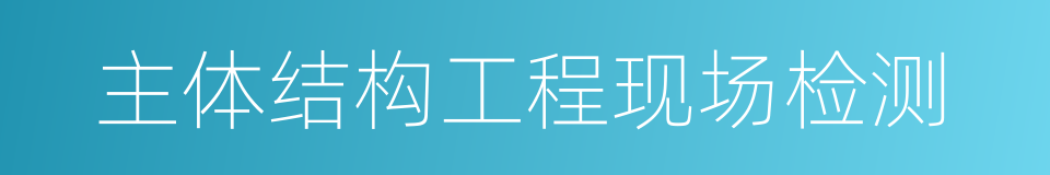 主体结构工程现场检测的同义词