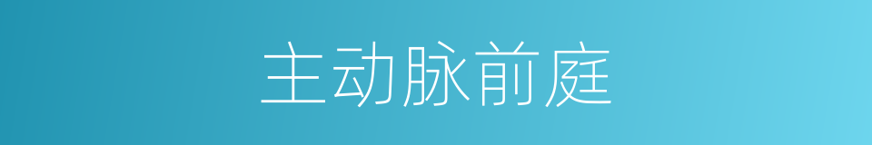 主动脉前庭的同义词