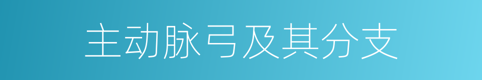 主动脉弓及其分支的同义词