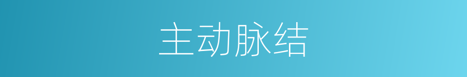 主动脉结的同义词