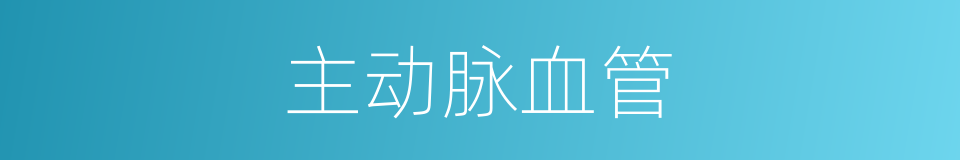 主动脉血管的同义词