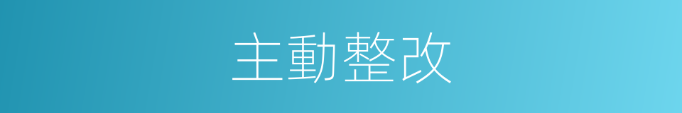 主動整改的同義詞
