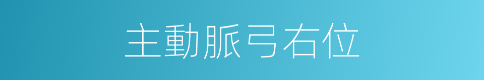 主動脈弓右位的同義詞