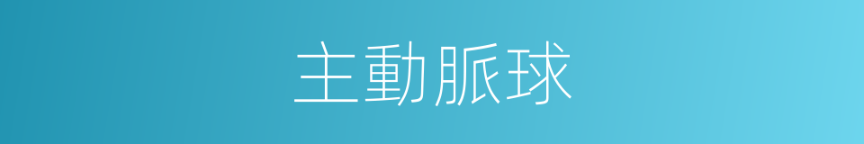 主動脈球的同義詞