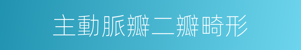 主動脈瓣二瓣畸形的同義詞