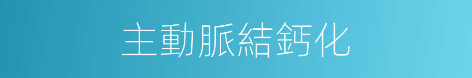主動脈結鈣化的同義詞