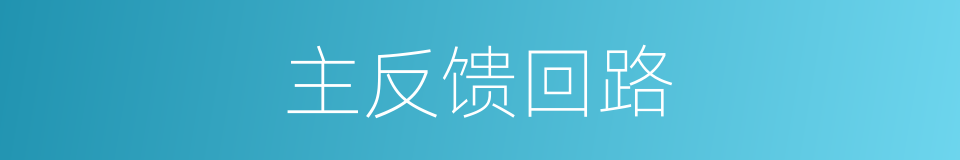 主反馈回路的同义词