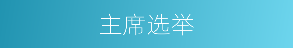 主席选举的同义词