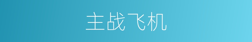 主战飞机的同义词