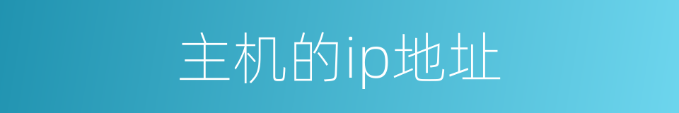 主机的ip地址的同义词