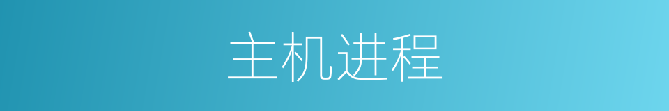 主机进程的同义词