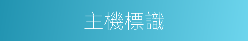主機標識的同義詞