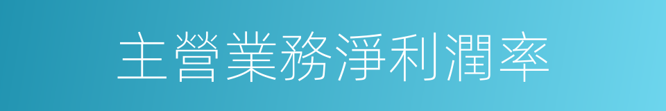 主營業務淨利潤率的同義詞