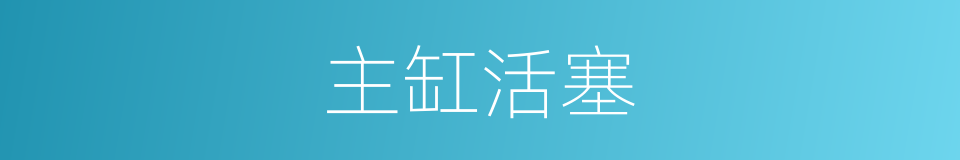 主缸活塞的同义词