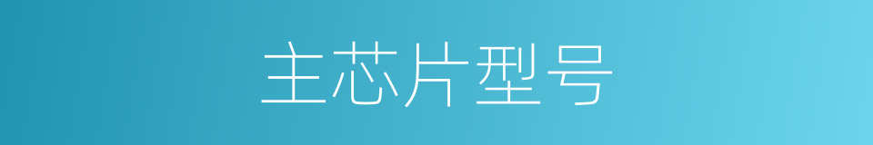 主芯片型号的同义词