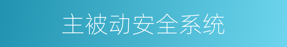 主被动安全系统的同义词