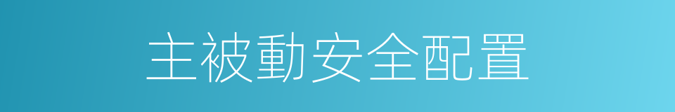 主被動安全配置的同義詞